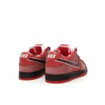 Nk SB Dunk Low “Red Lobster”